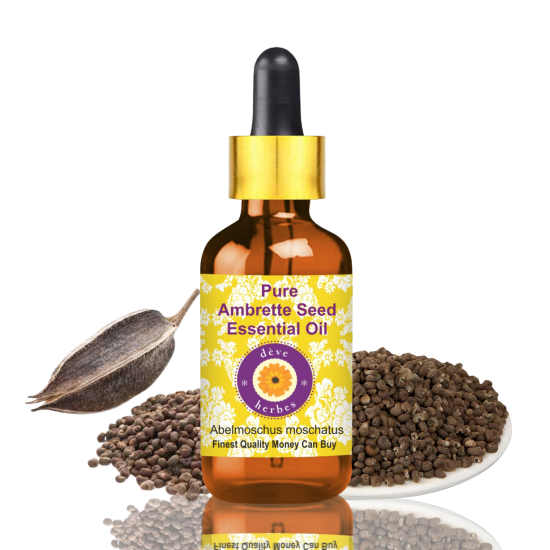 Pure Ambrette Seed Essential Oil 