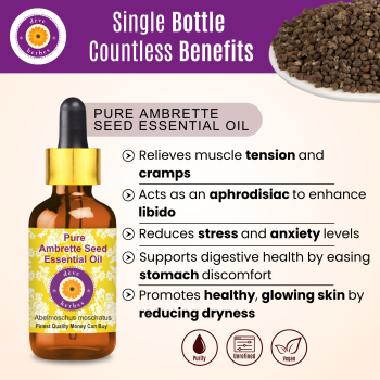 Pure Ambrette Seed Essential Oil 