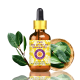 Pure Bay Laurel Leaf Essential Oil 