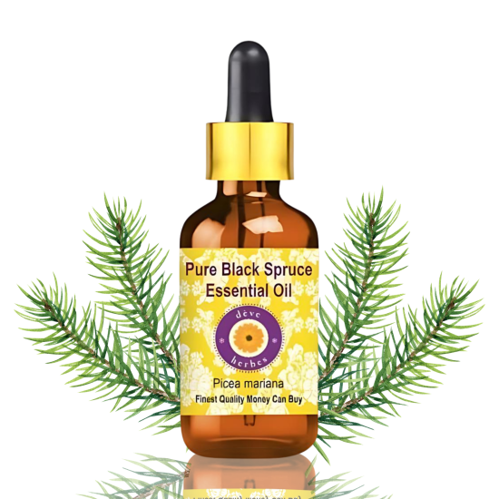 Pure Black Spruce Essential Oil