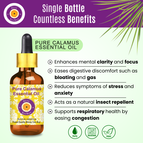 Pure Calamus Essential Oil 