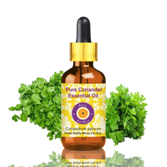 Pure Coriander Essential Oil 