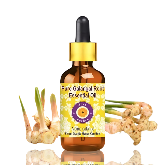 Pure Galangal Root Essential Oil