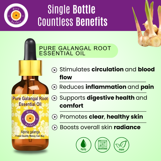 Pure Galangal Root Essential Oil