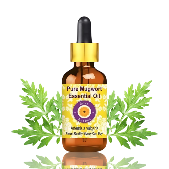 Pure Mugwort Essential Oil