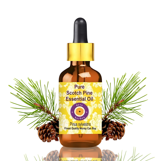 Pure Scotch Pine Essential Oil