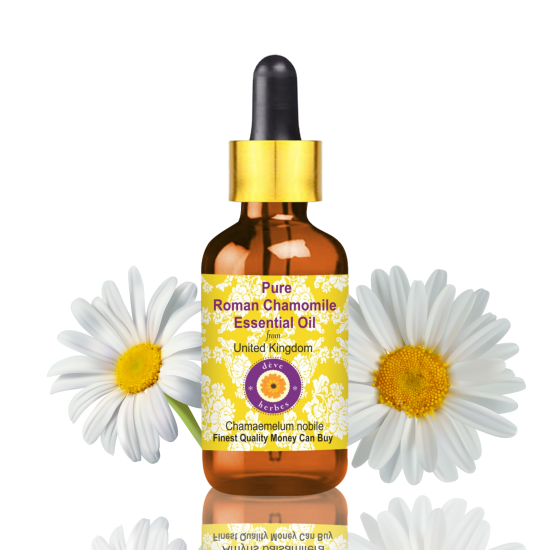 Pure Roman Chamomile Essential Oil