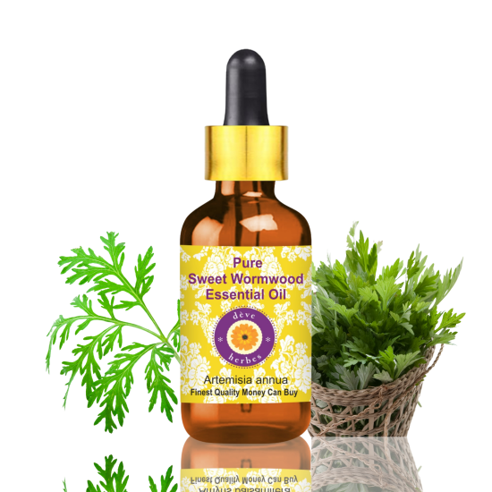 Pure Sweet Wormwood Essential Oil 