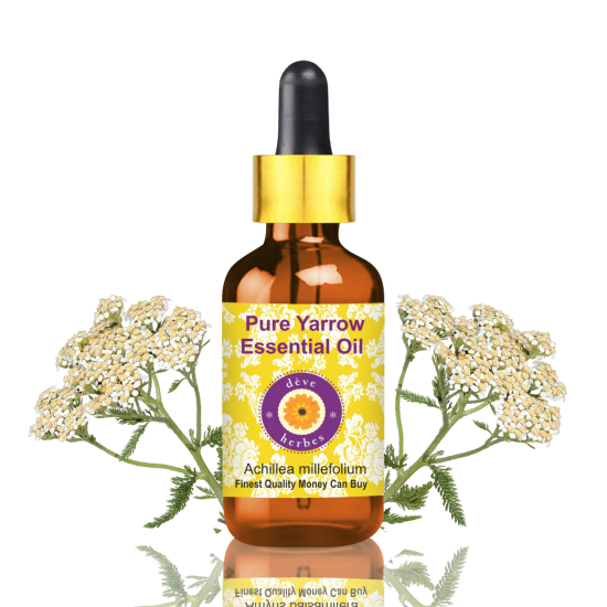 Pure Yarrow Essential Oil 