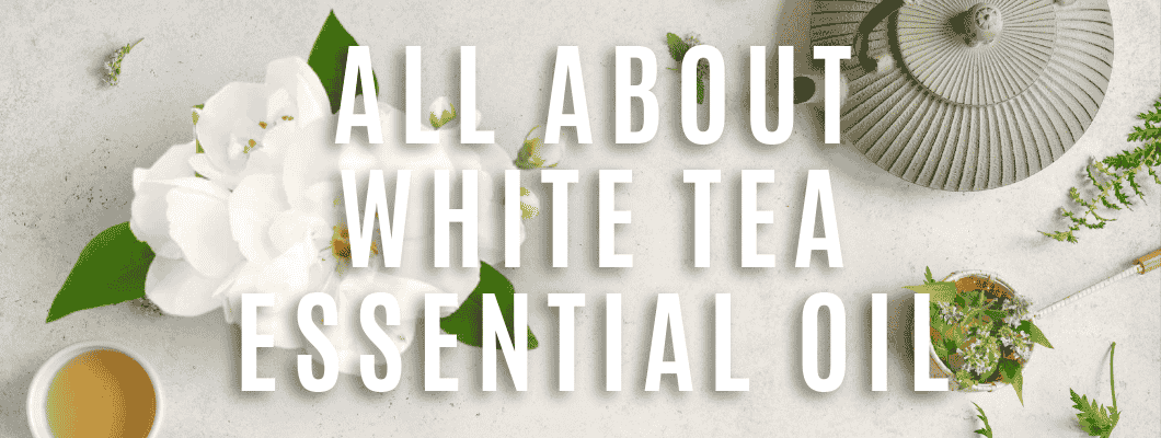 White Tea Essential Oil