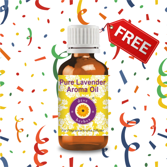 Pure Lavender Aroma Oil 30ML 