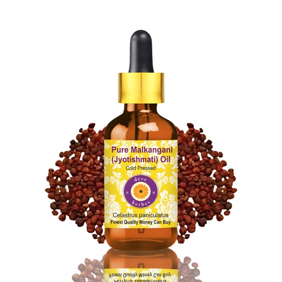 Pure Malkangani (Malkangani / Jyotishmati) Oil 