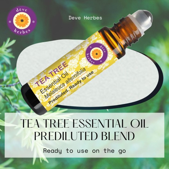 Tea Tree Essential Oil Pre Diluted Roll-on Blend