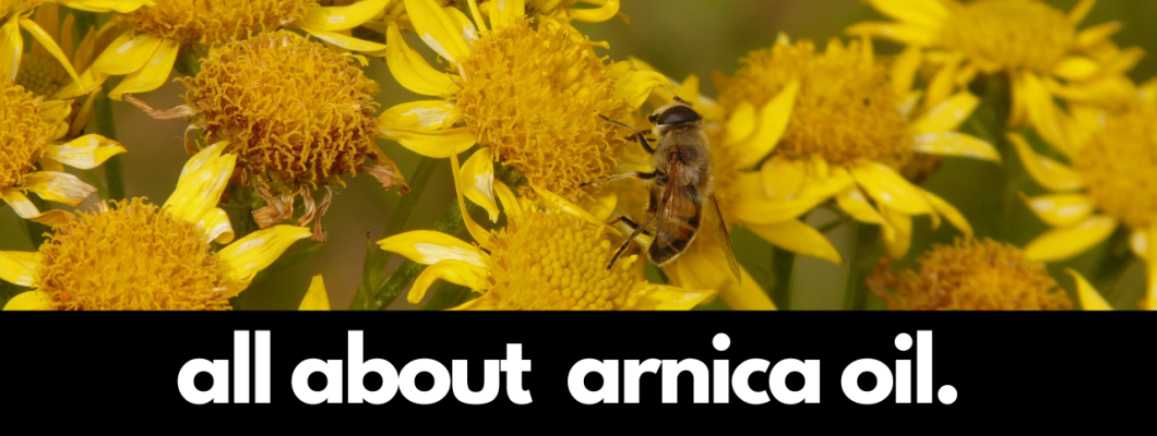 Arnica Oil