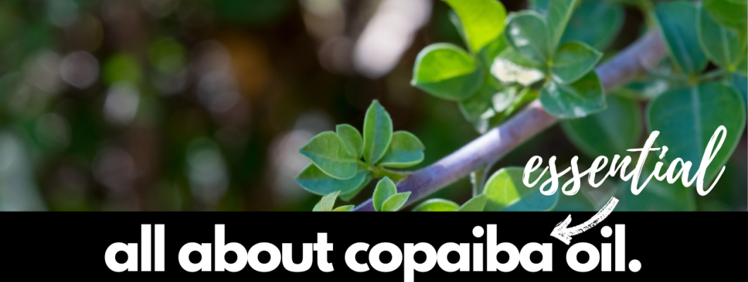 Copaiba Essential Oil