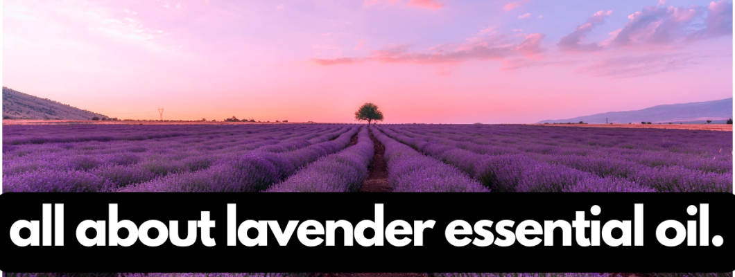 Lavender Essential Oil