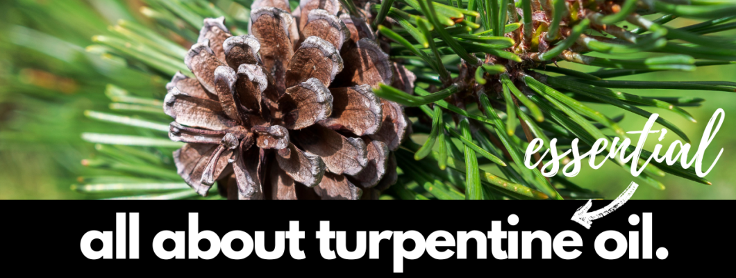 Turpentine Essential Oil