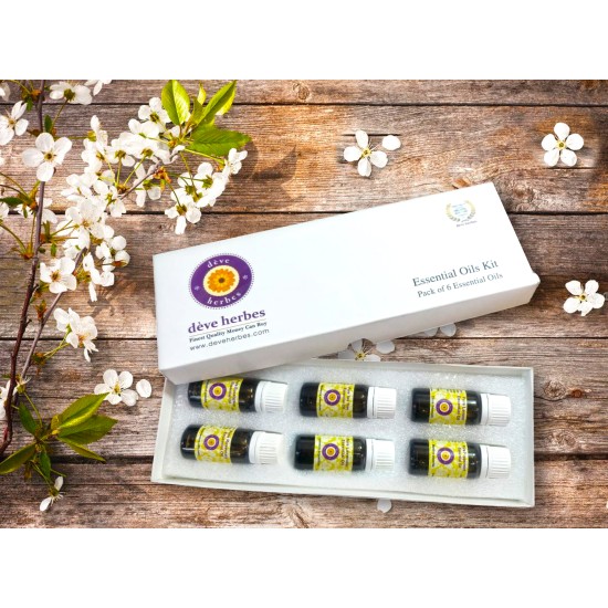 Essential Oil Kit 10ml x 6